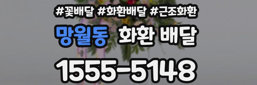 망월동 화환 배달