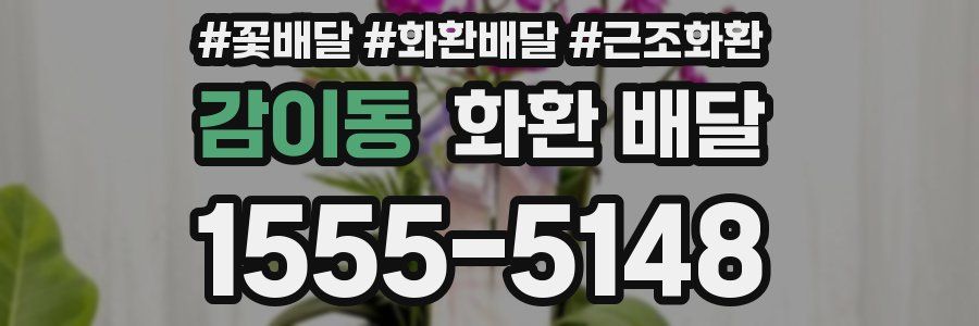 감이동 화환 배달
