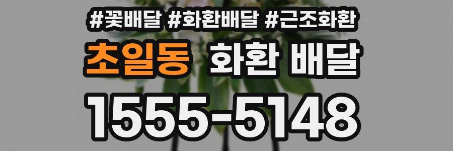 초일동 화환 배달