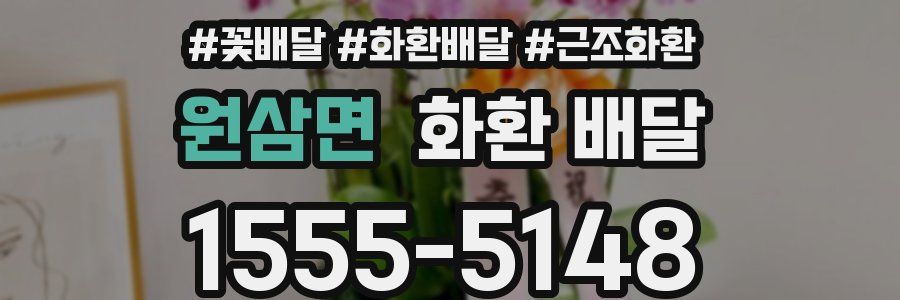 원삼면 화환 배달
