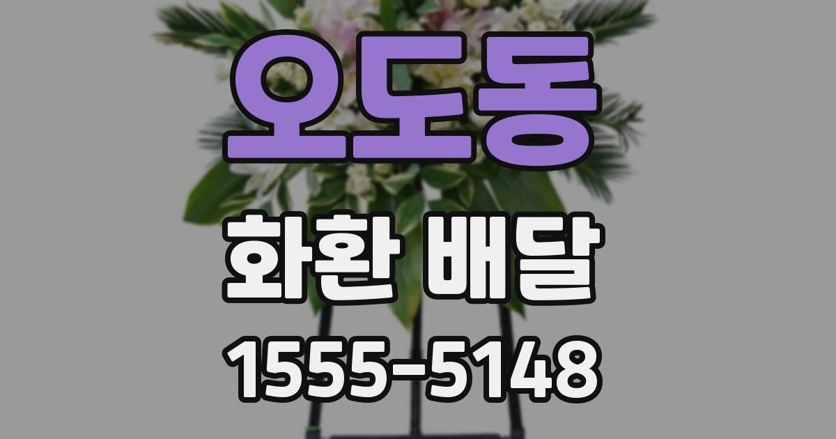 오도동 화환 배달