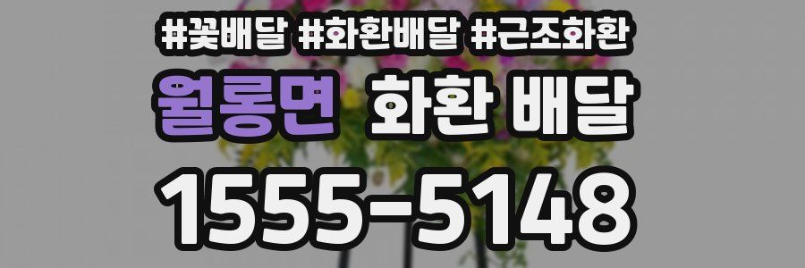 월롱면 화환 배달