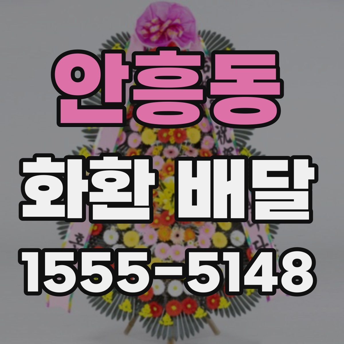 안흥동 화환 배달