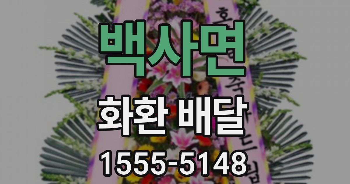 백사면 화환 배달
