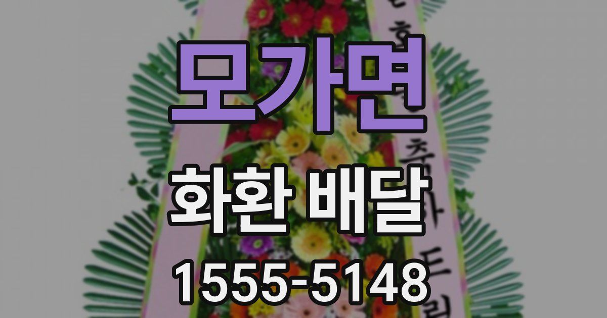 모가면 화환 배달