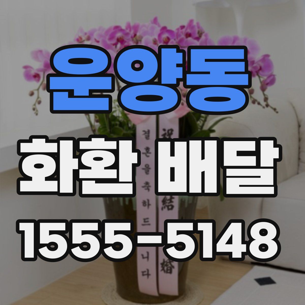 운양동 화환 배달