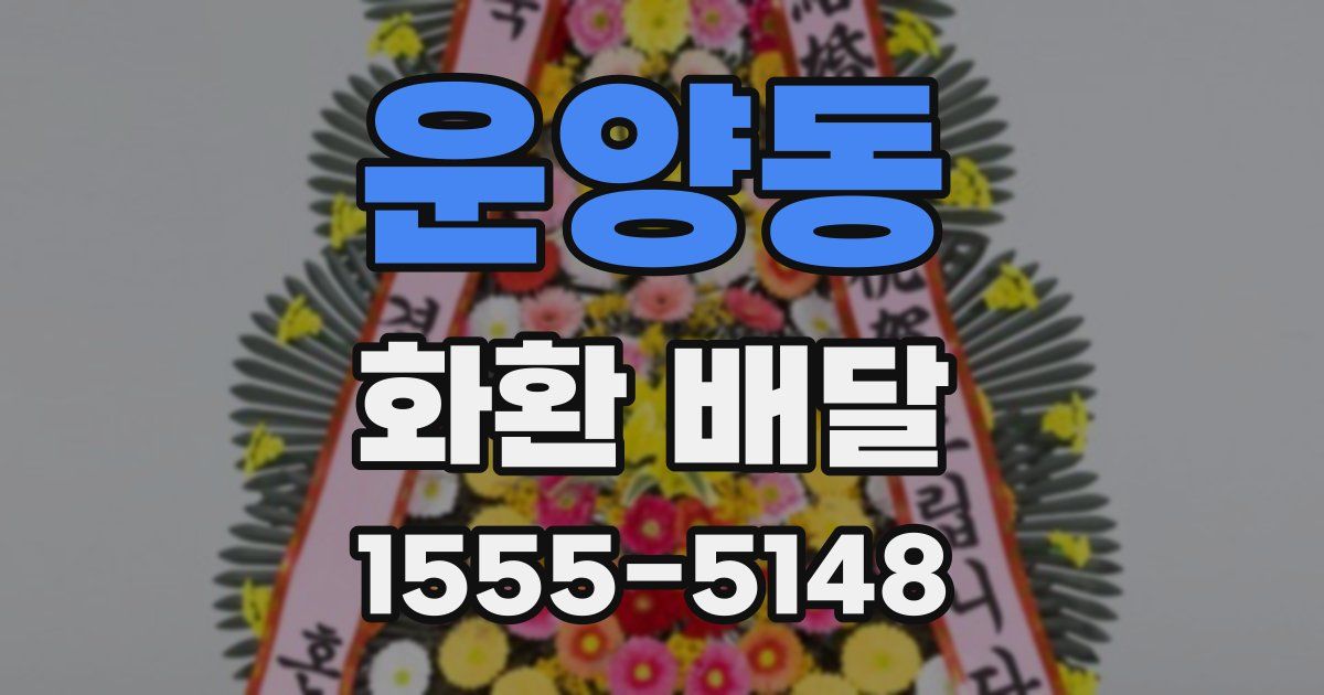 운양동 화환 배달