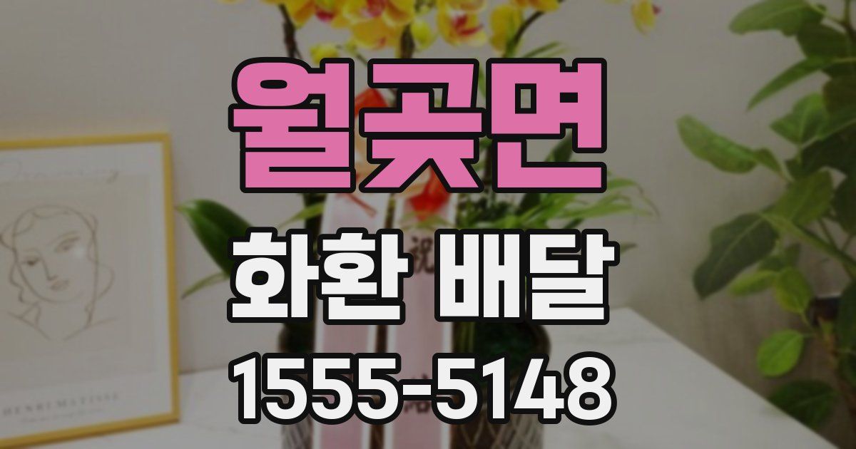월곶면 화환 배달