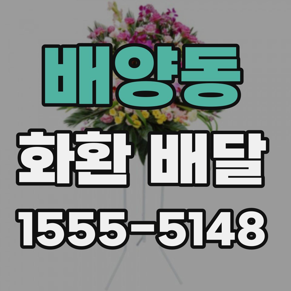 배양동 화환 배달