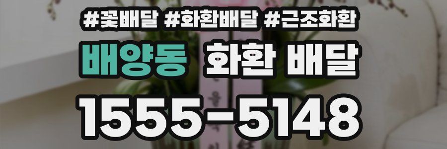 배양동 화환 배달