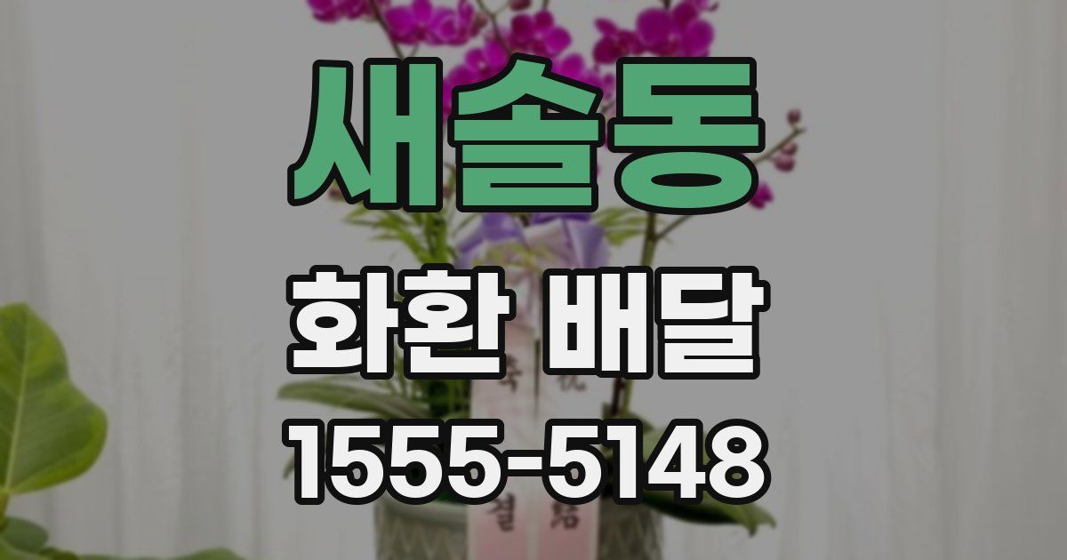 새솔동 화환 배달