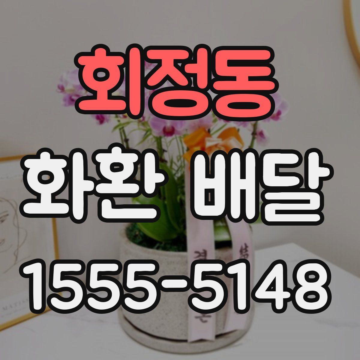회정동 화환 배달