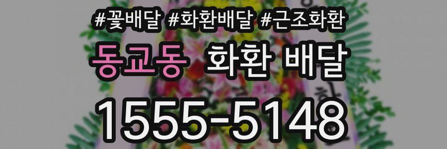 동교동 화환 배달