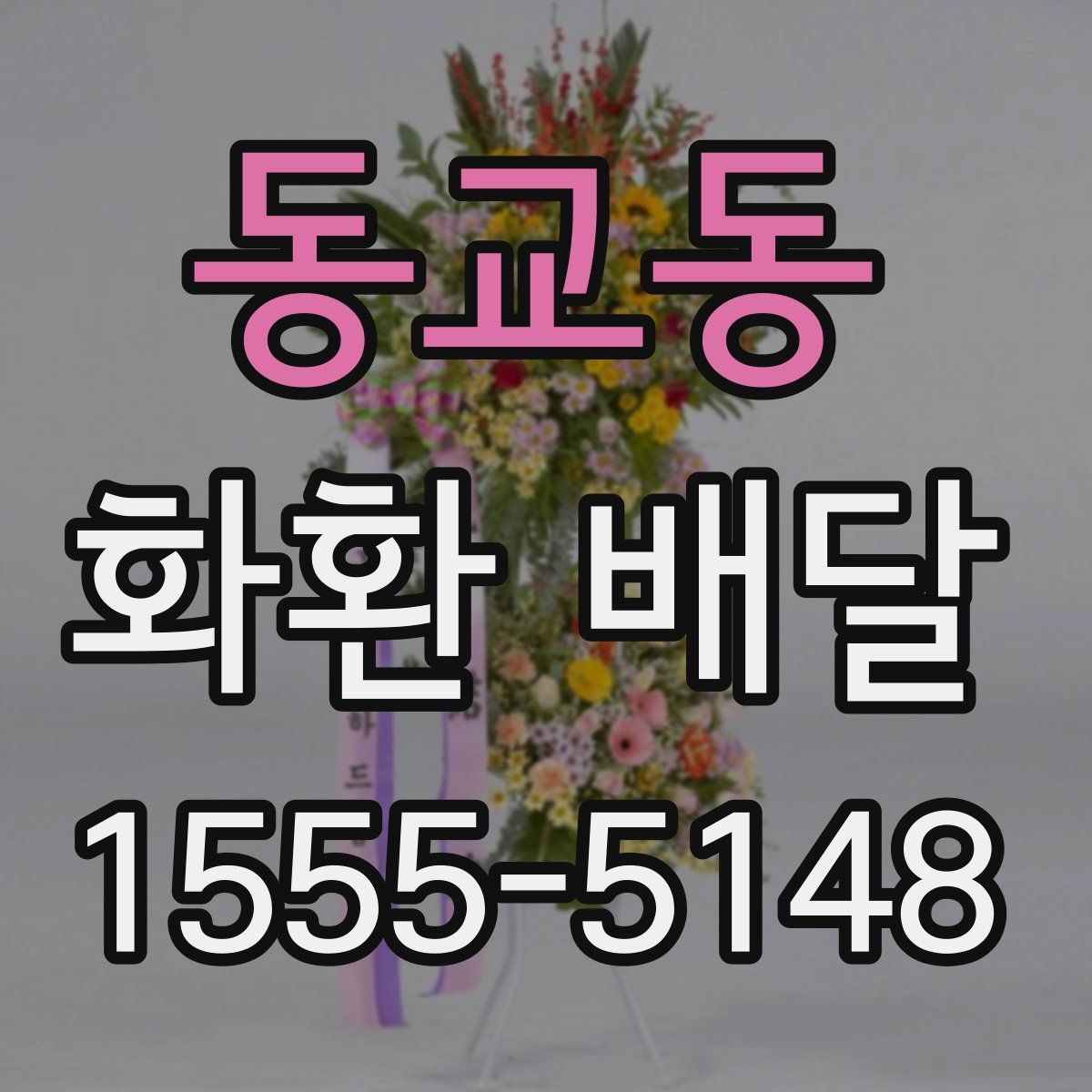 동교동 화환 배달