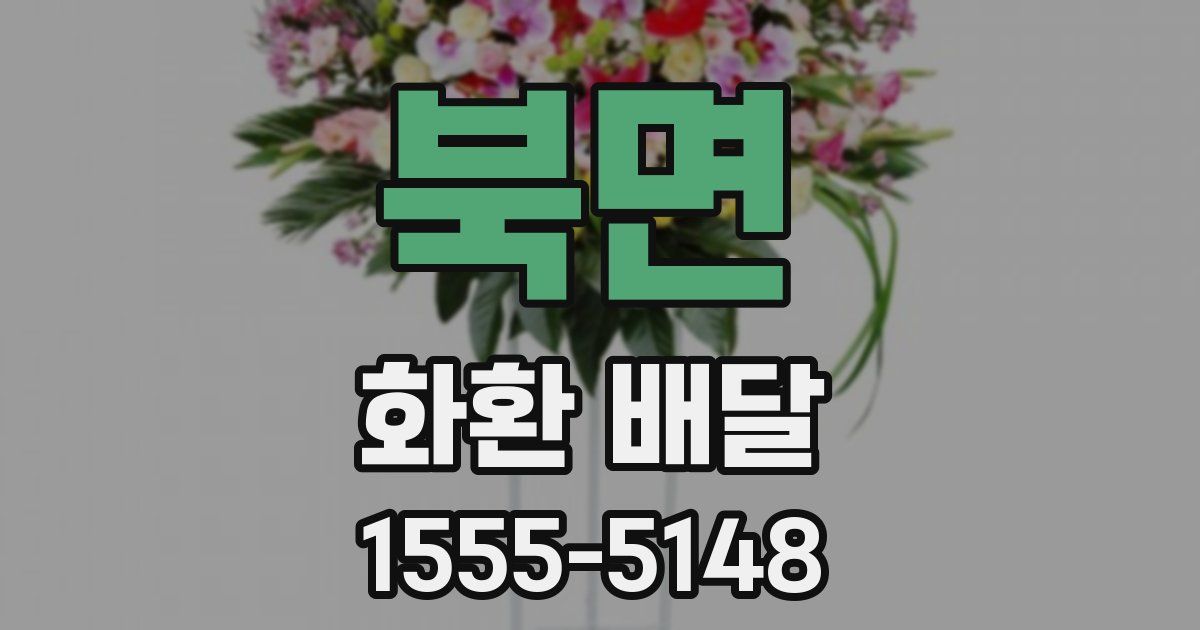 북면 화환 배달