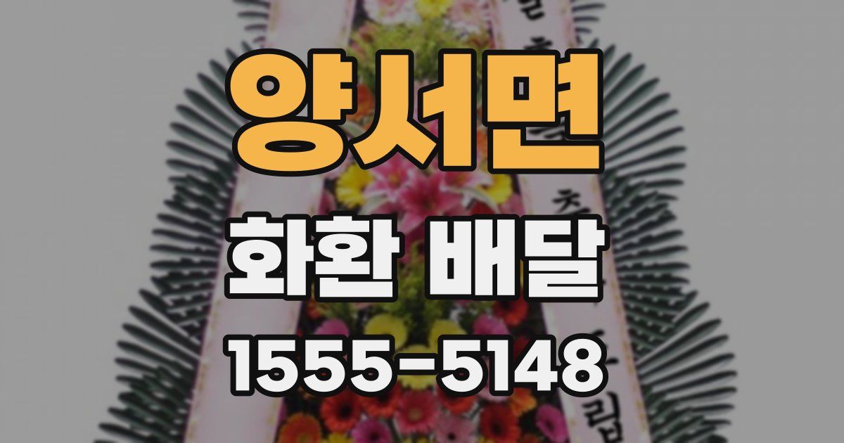 양서면 화환 배달