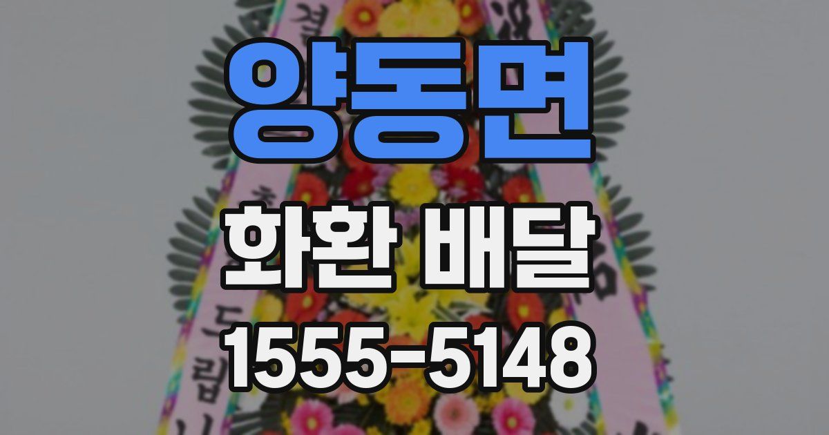 양동면 화환 배달