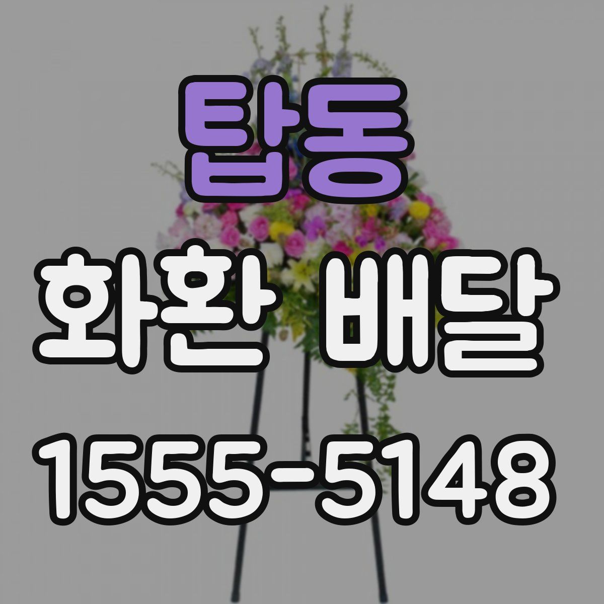탑동 화환 배달