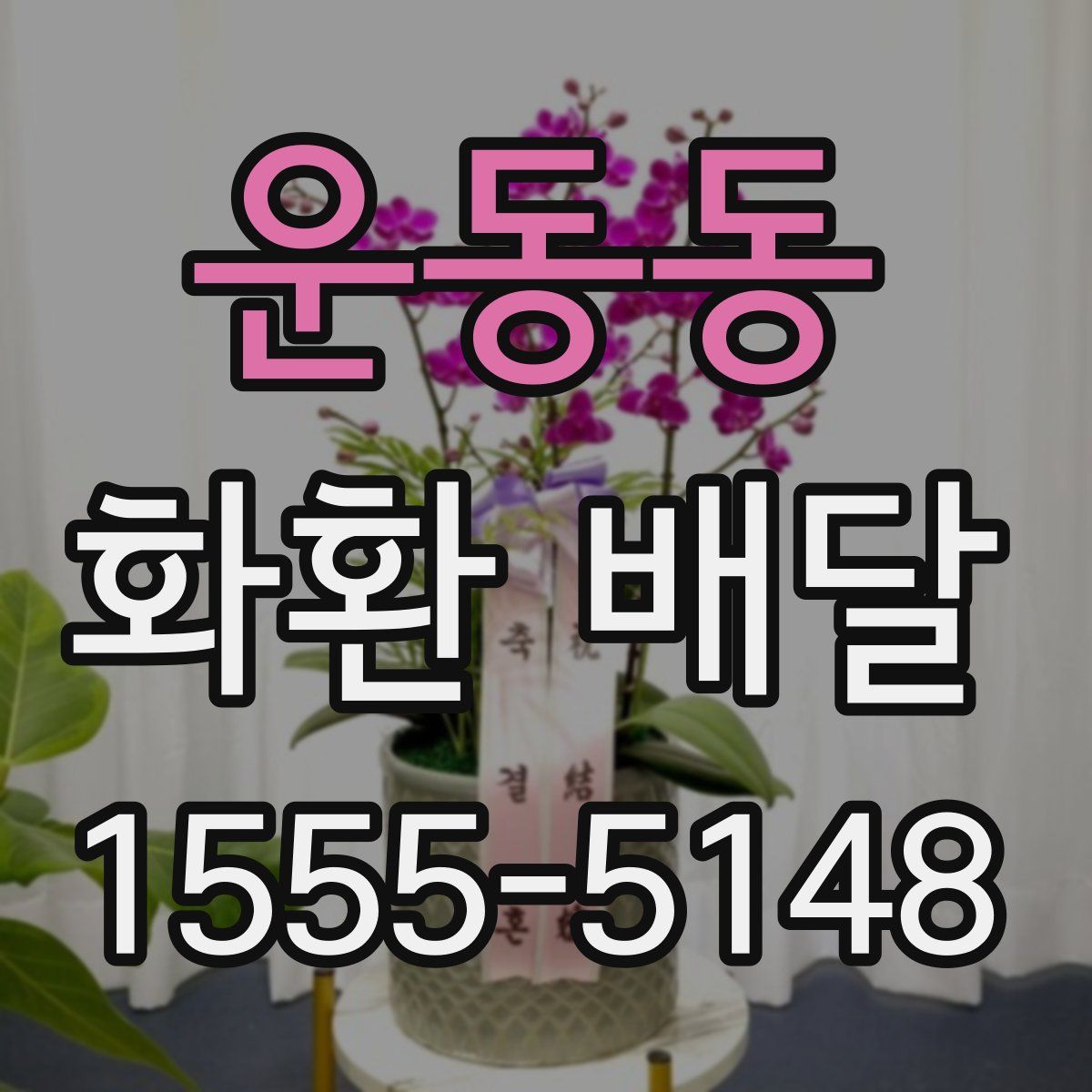 운동동 화환 배달