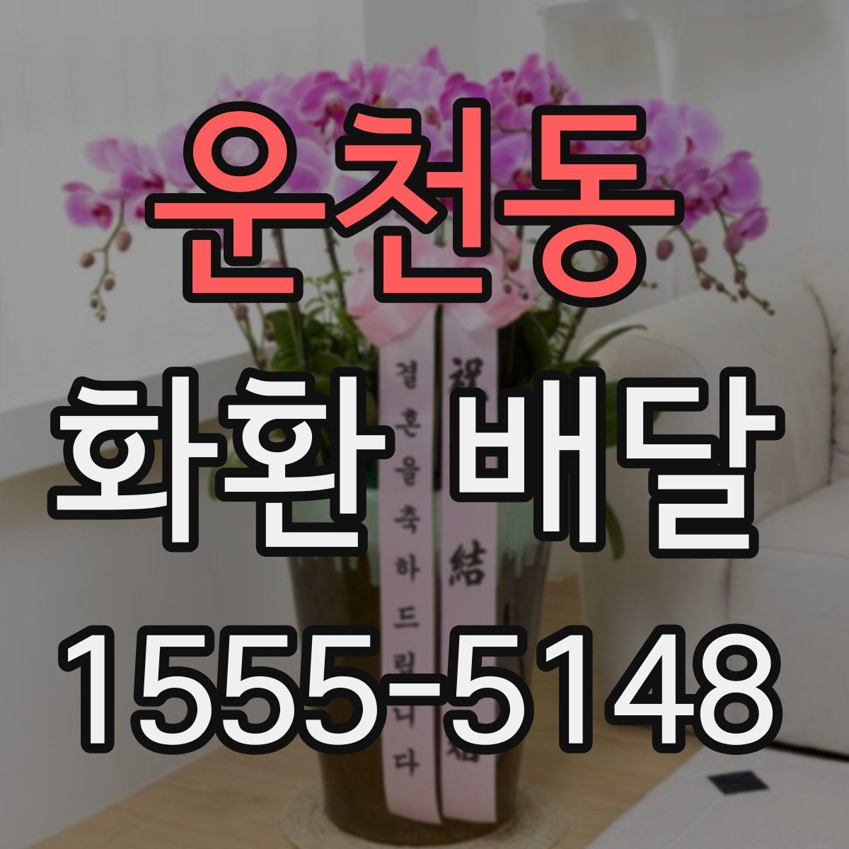 운천동 화환 배달