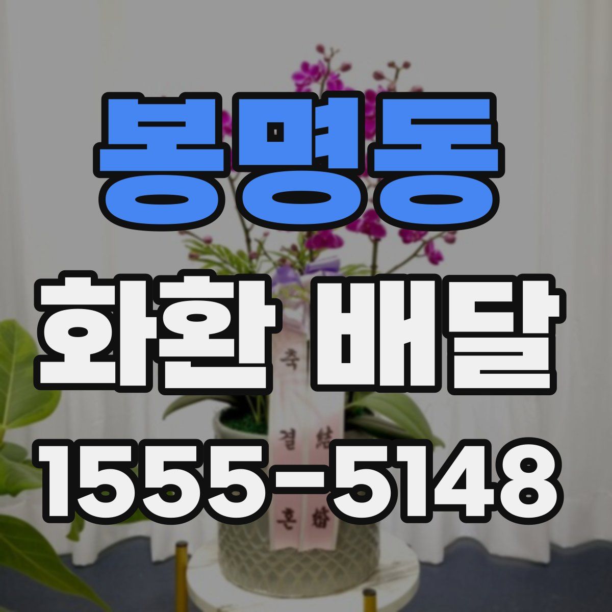봉명동 화환 배달