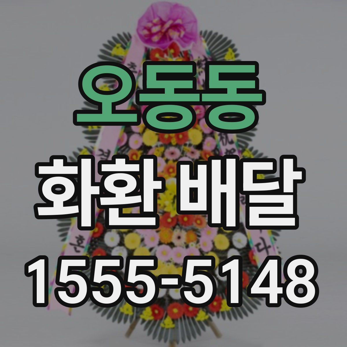 오동동 화환 배달
