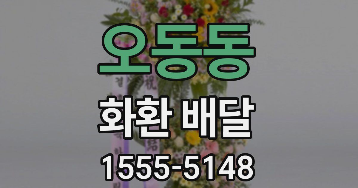 오동동 화환 배달