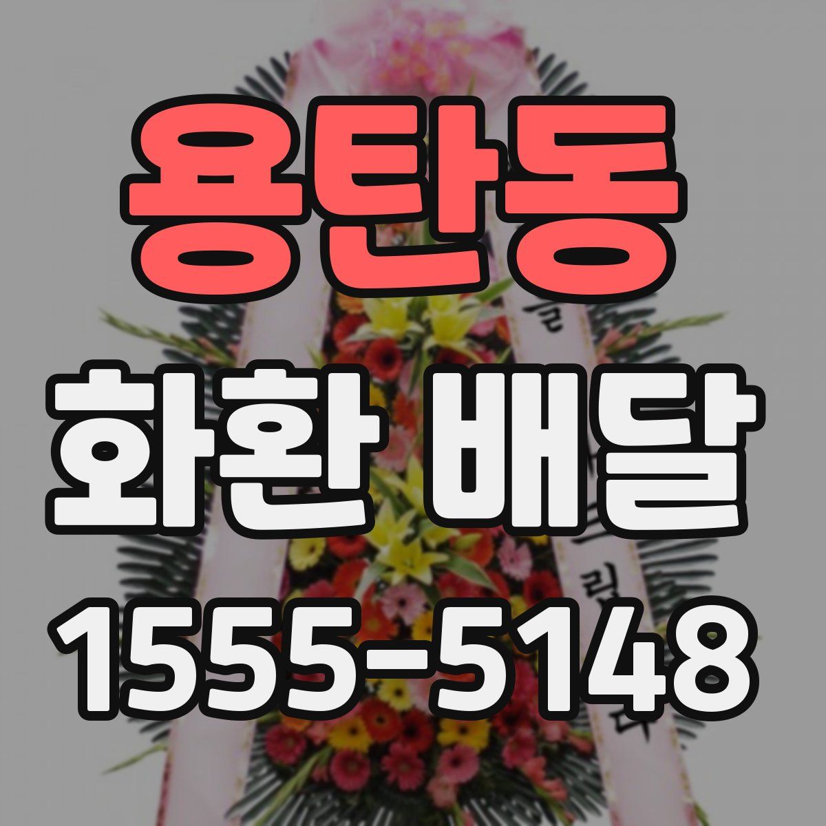 용탄동 화환 배달