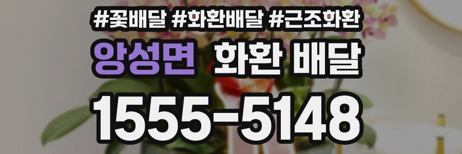 앙성면 화환 배달