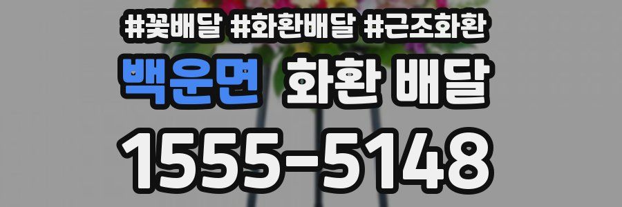 백운면 화환 배달