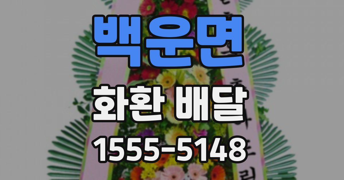 백운면 화환 배달