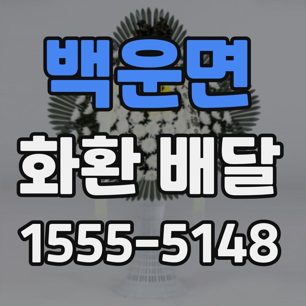 백운면 화환 배달