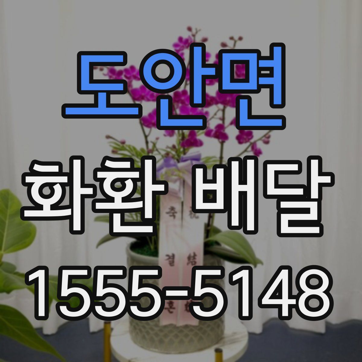 도안면 화환 배달