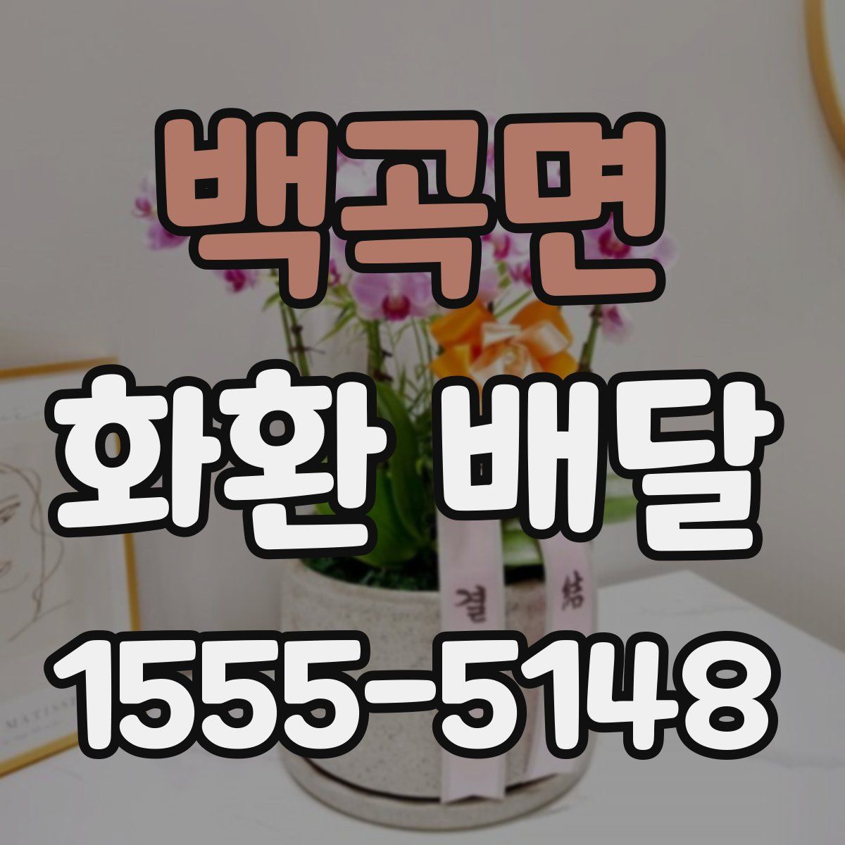 백곡면 화환 배달