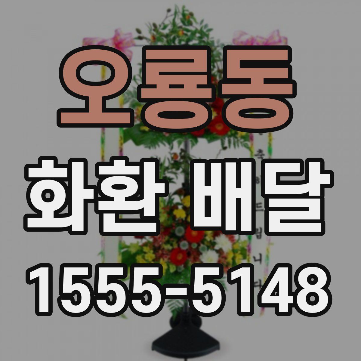 오룡동 화환 배달