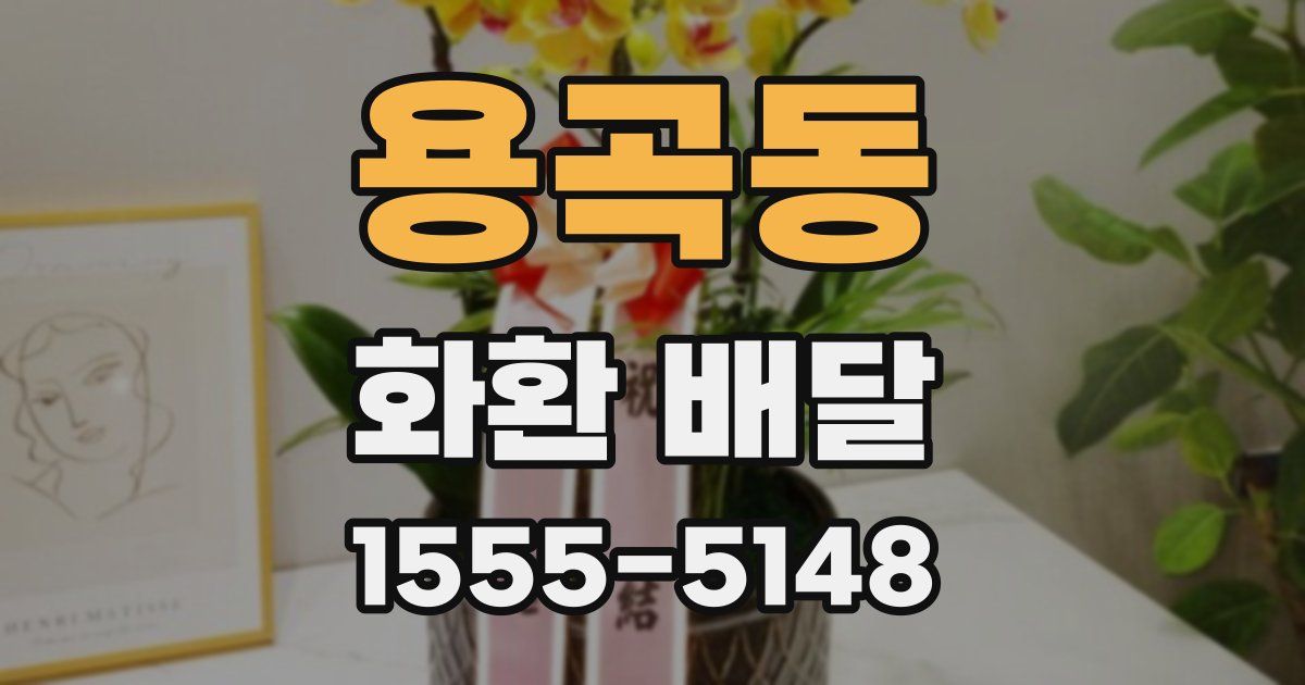 용곡동 화환 배달