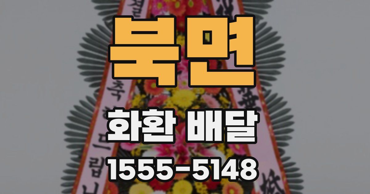 북면 화환 배달