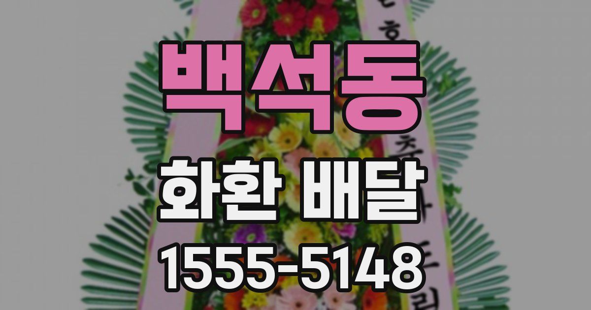 백석동 화환 배달