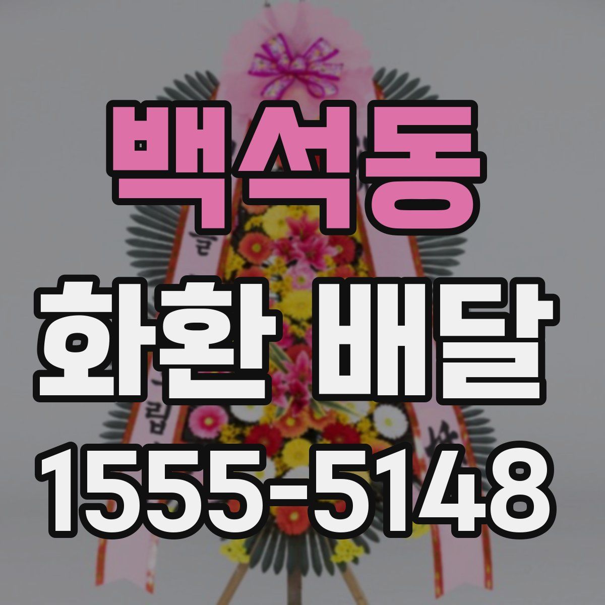 백석동 화환 배달