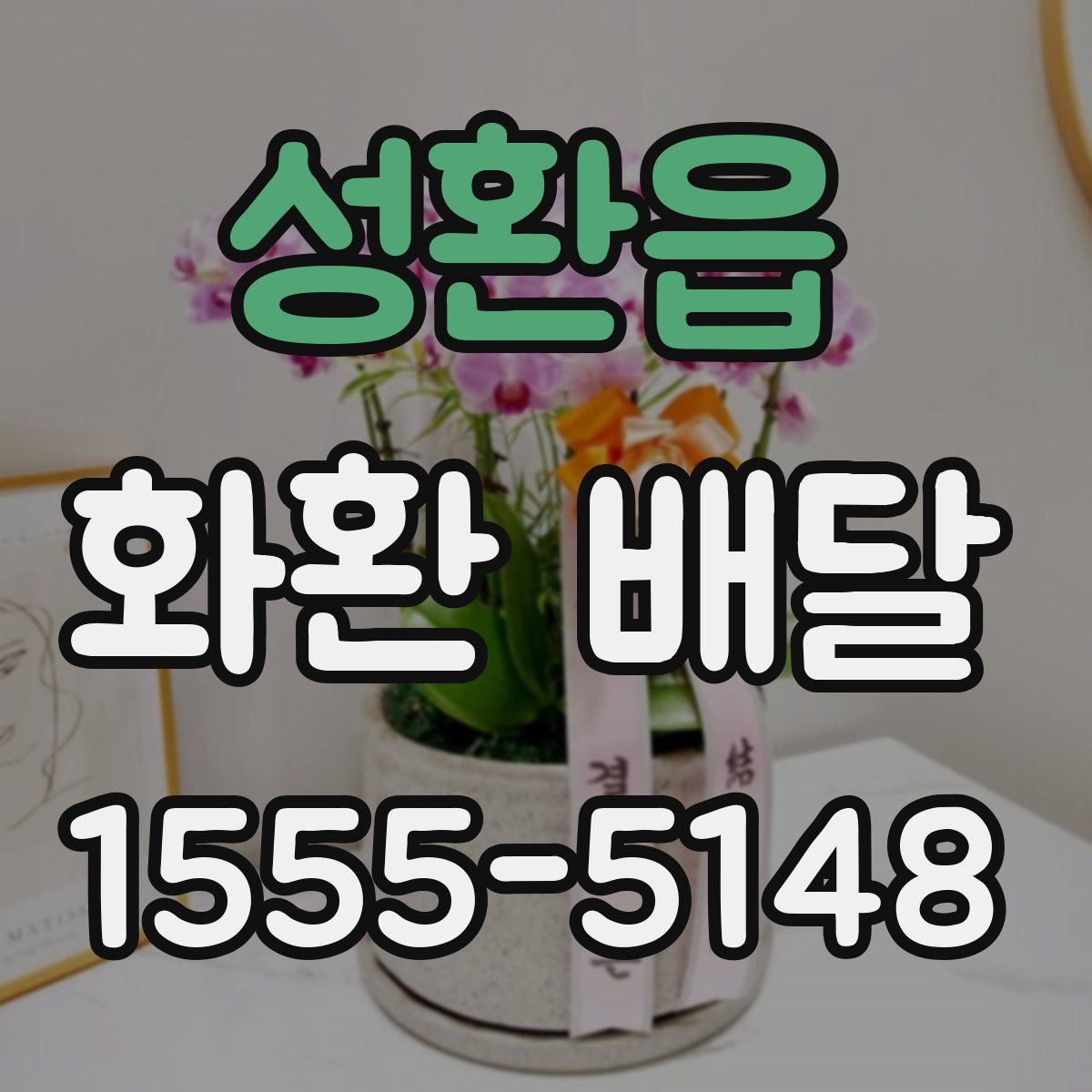 성환읍 화환 배달
