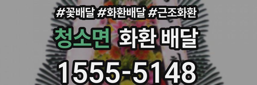 청소면 화환 배달