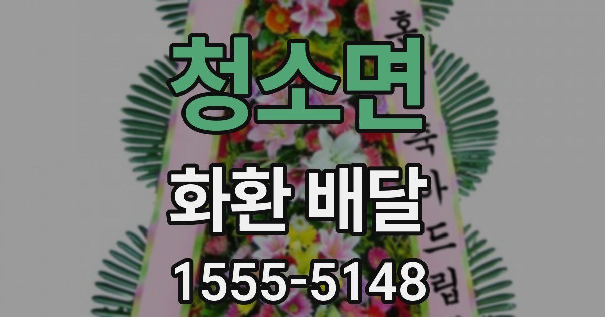 청소면 화환 배달