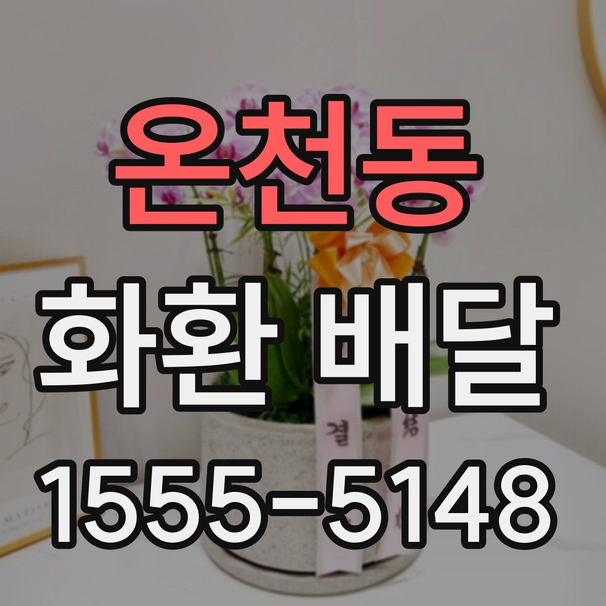 온천동 화환 배달