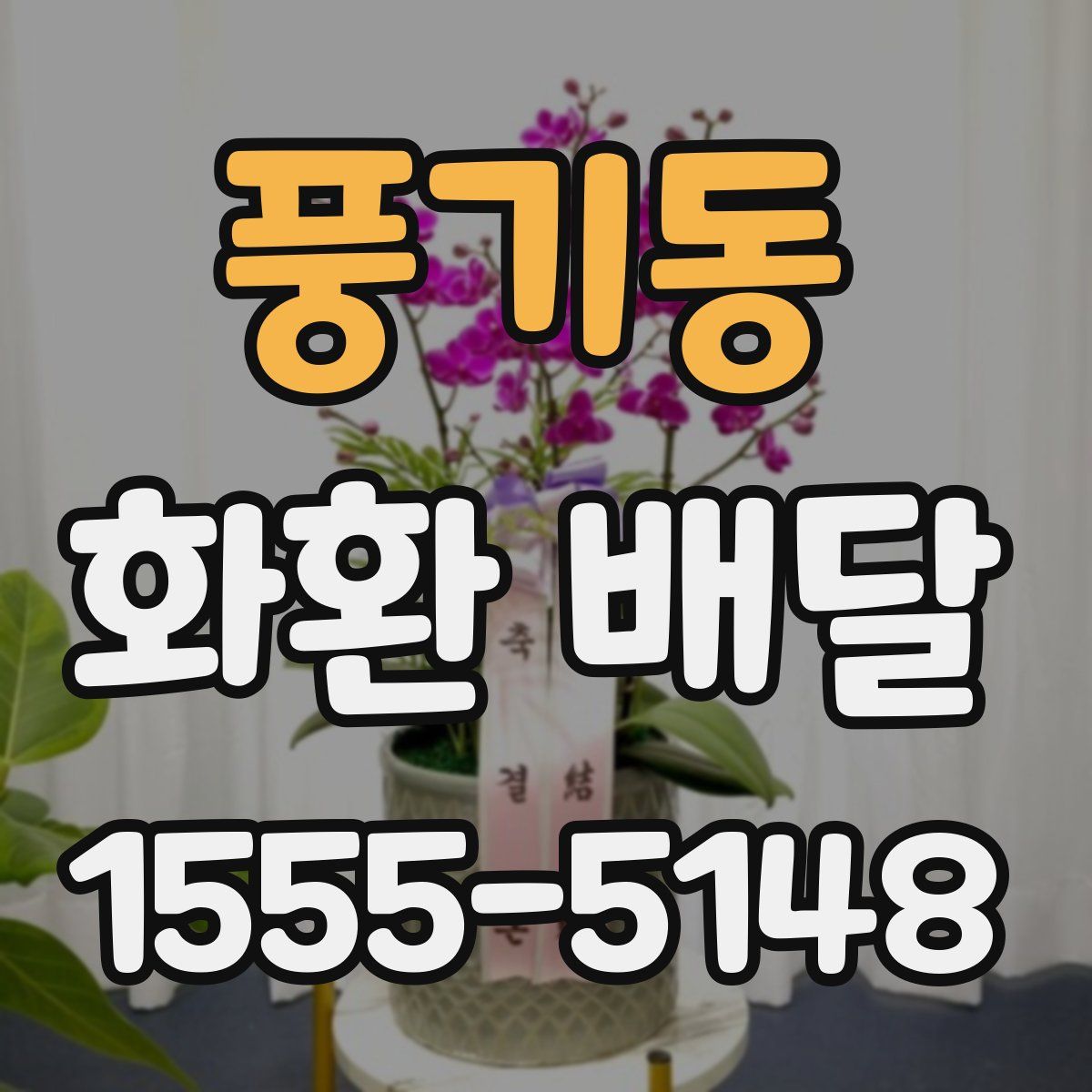 풍기동 화환 배달