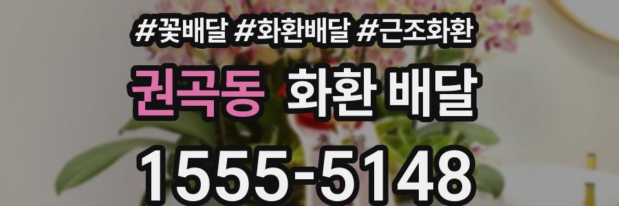 권곡동 화환 배달