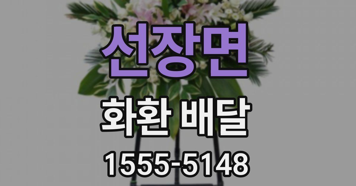 선장면 화환 배달