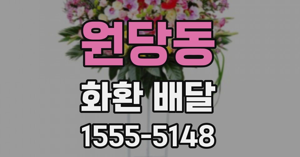 원당동 화환 배달