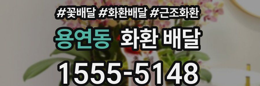 용연동 화환 배달