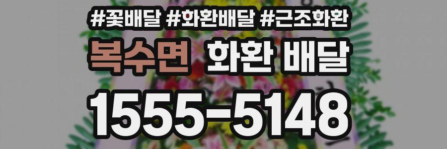 복수면 화환 배달