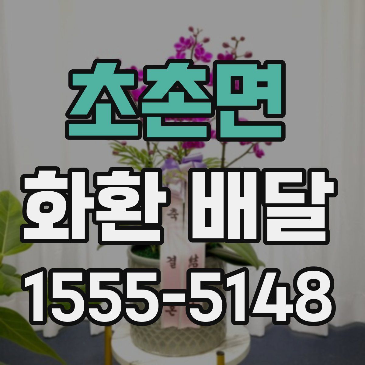 초촌면 화환 배달